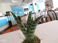 10_locale_alpassatore.jpg